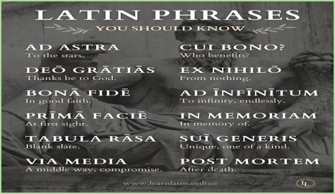 A Profile Of A Latin Beauty